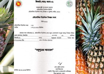 টাঙ্গাইল জেলার জিআই পণ্য হিসেবে স্বীকৃতি পেল মধুপুরের আনারস