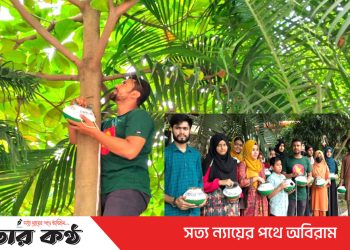 পাখিদের নিরাপদ আশ্রয় তৈরির জন্য টাঙ্গাইলে গাছে গাছে মাটির হাঁড়ি