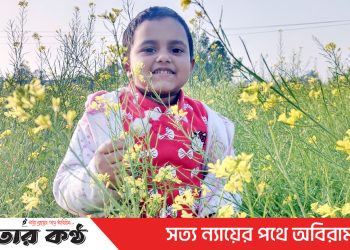 সরিষা ফুলে দোল খাচ্ছে কৃষকের স্বপ্ন : মৌমাছিরাও মধু সংগ্রহে ব্যস্ত