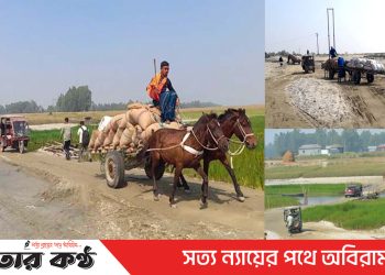 টাঙ্গাইলে বিচ্ছিন্ন দ্বীপ মাহমুদনগরে ধলেশ্বরী সেতু অতীব প্রয়োজন